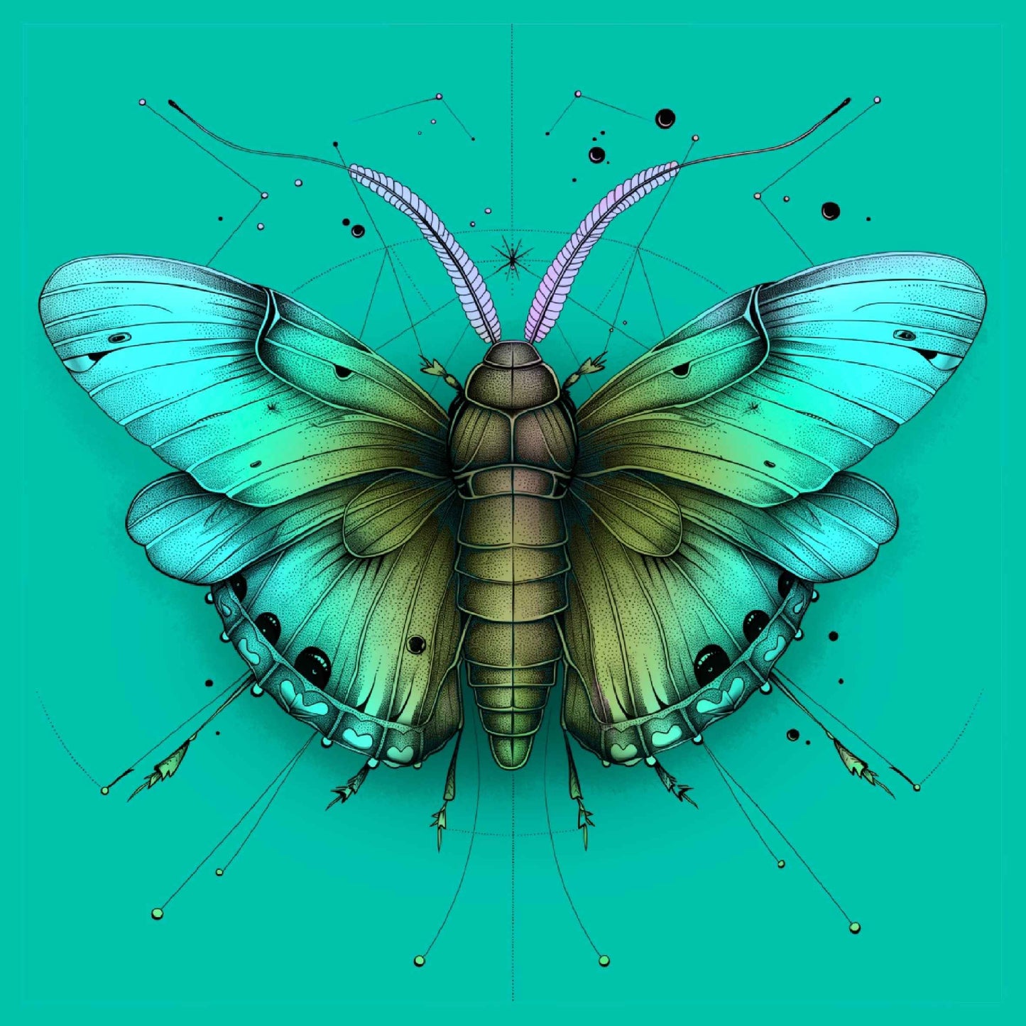 Schmetterling