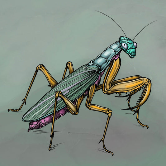 Motiv-Panel Kunstleder Grashüpfer