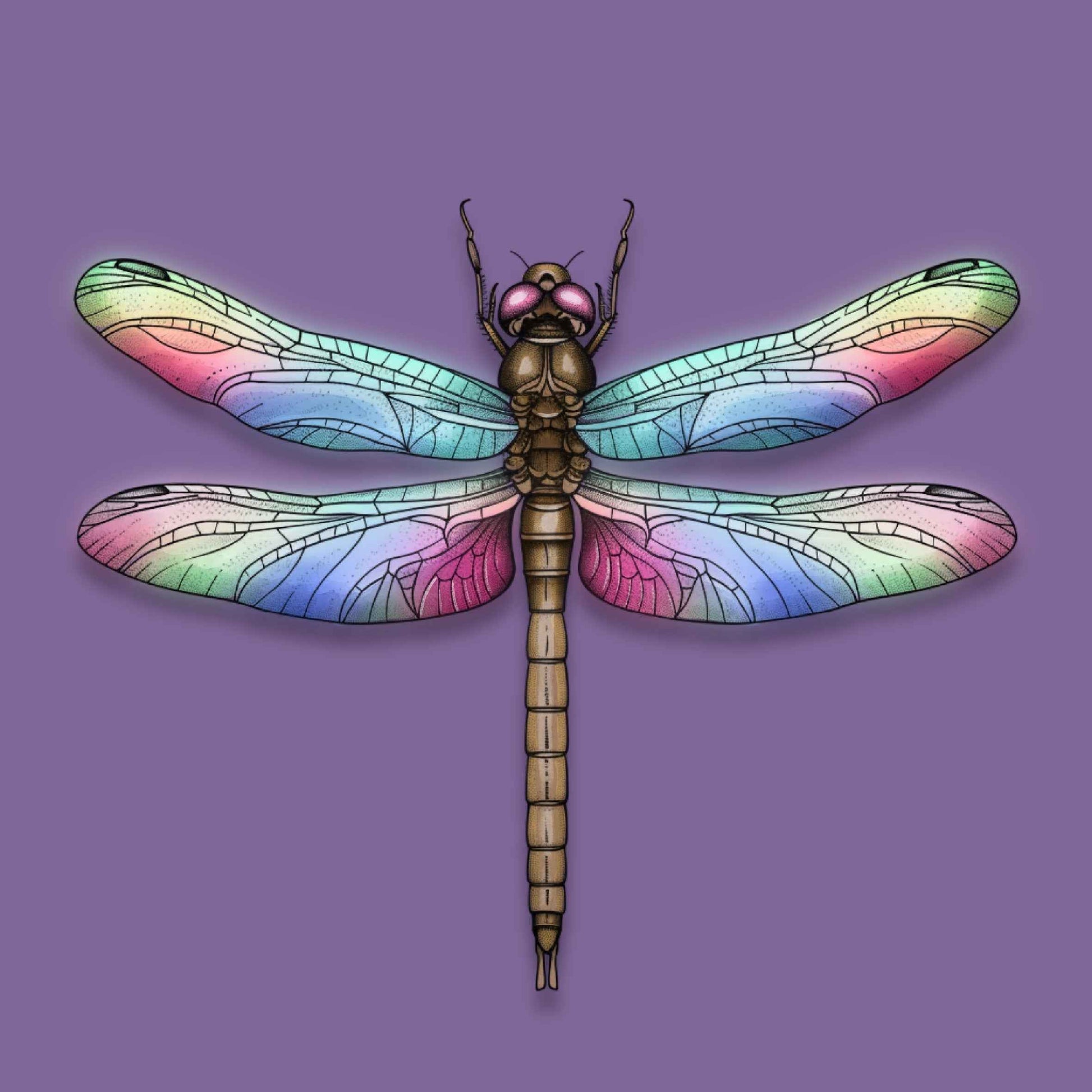 Libelle