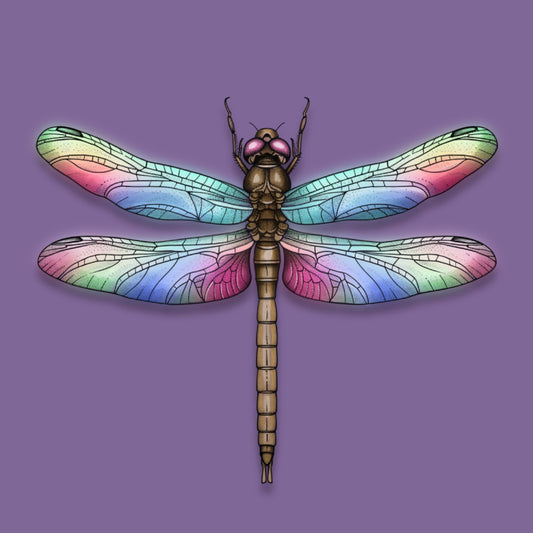 Motiv-Panel Kunstleder Libelle