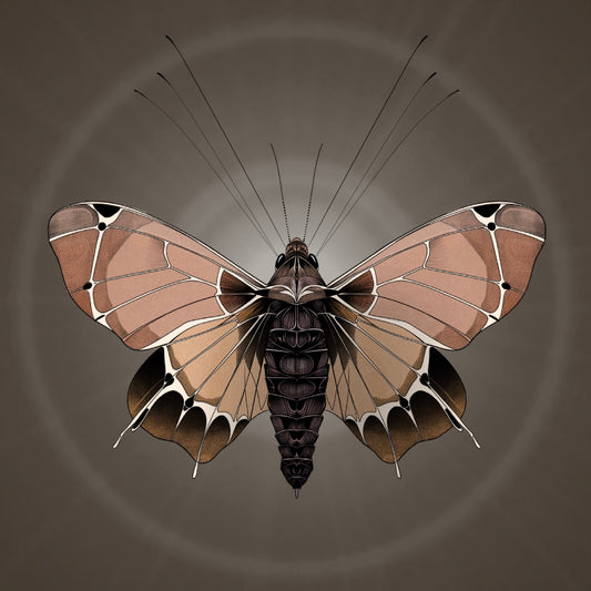 Motiv-Panel Kunstleder Motte