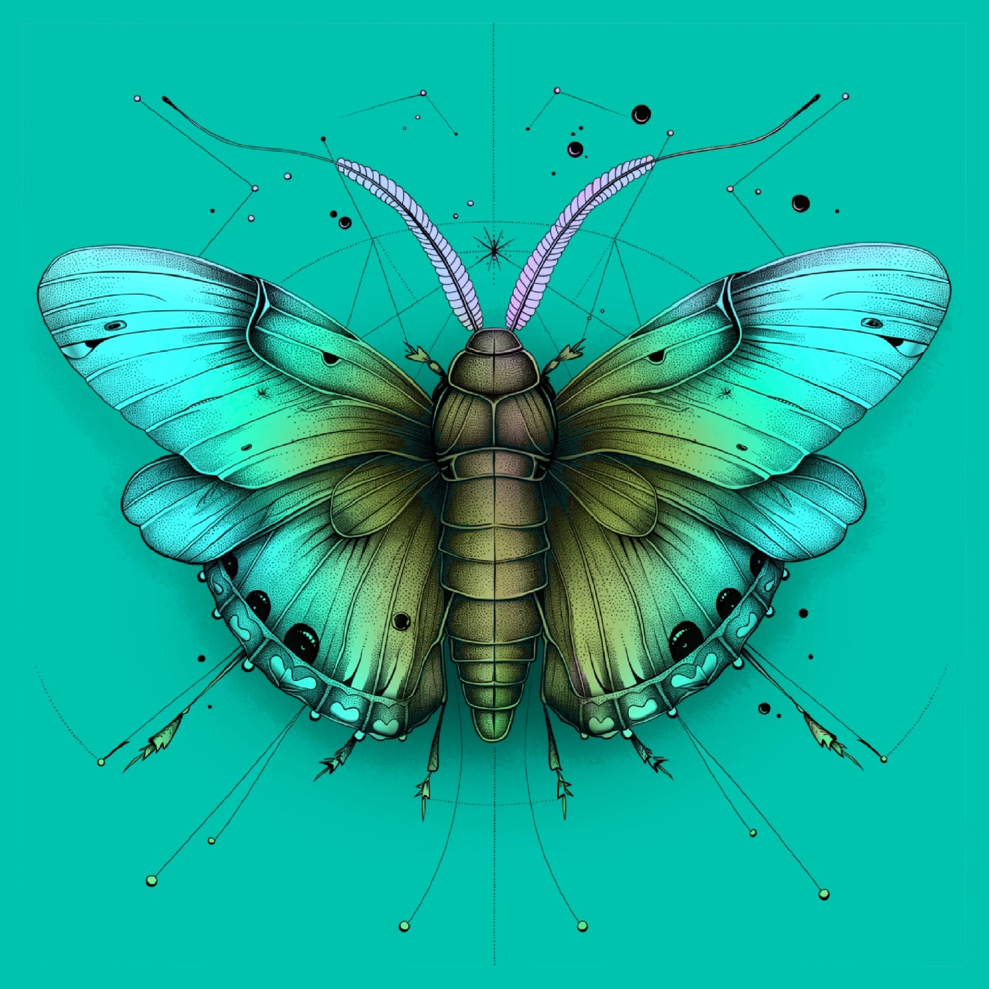 Motiv-Panel Kunstleder Schmetterling