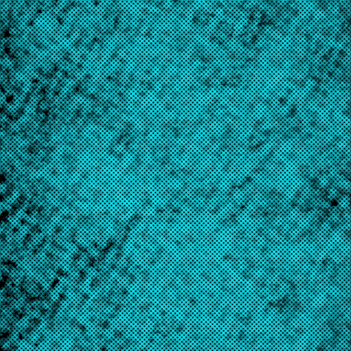 Design-Panel Blueskin