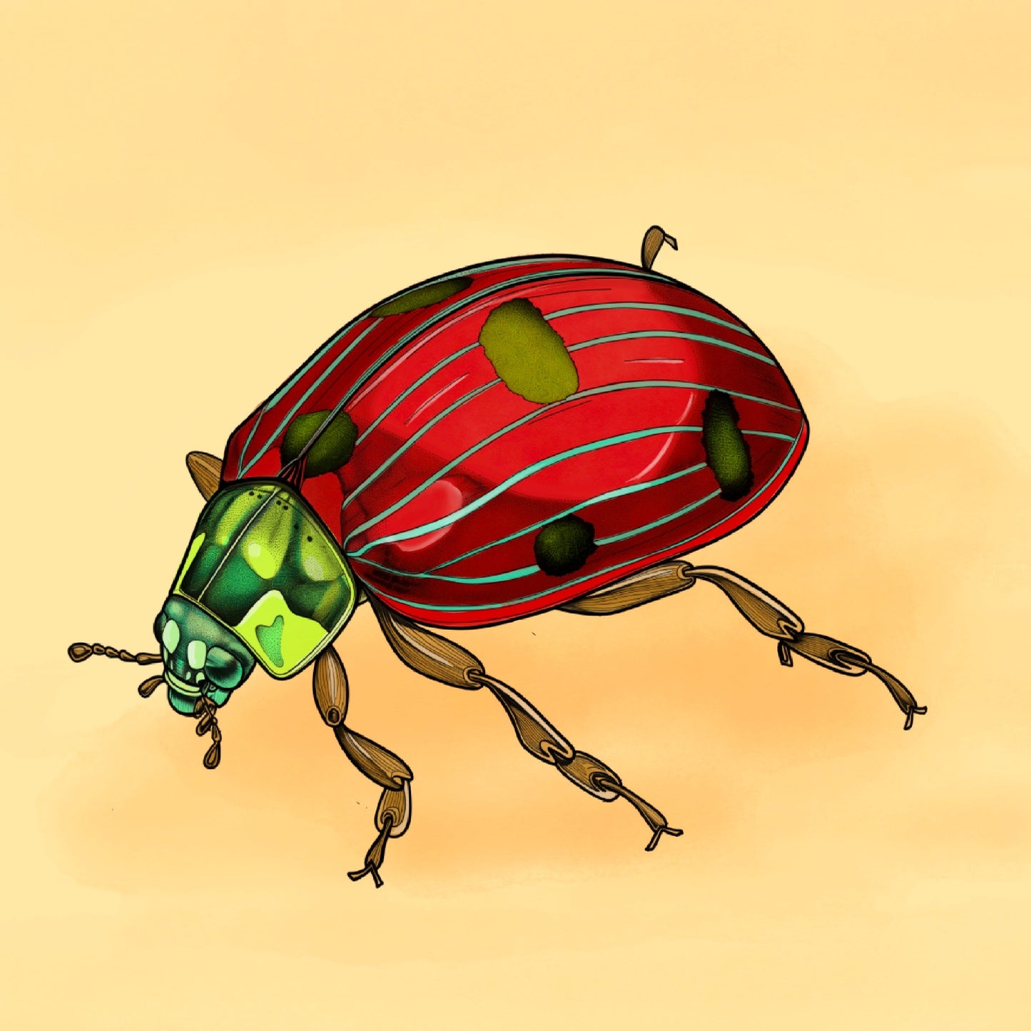 Motiv-Panel Kunstleder roter Käfer